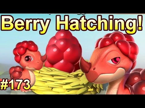 LEGENDARY BERRY DRAGON HATCHING + NEW UPDATE! - Dragon Mania Legends #173