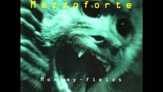 Monkey Fields - Mezzoforte