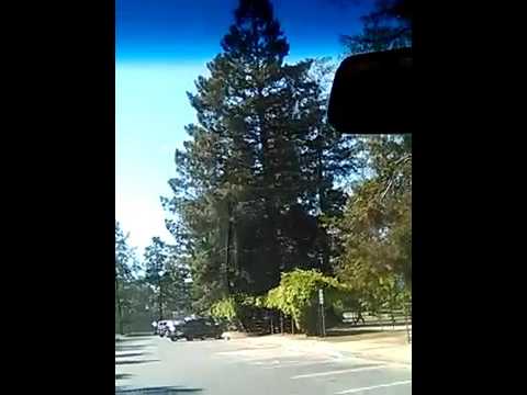 AWGURI lil MALTA jindem u titgħammed, il RENJU huwa qrib! JAĊĊETTAW KRISTU & JIĠU ++ #AmazingGRACE!