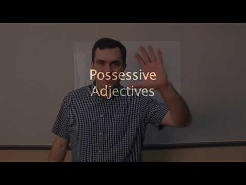 Possessive Adjectives (Beginner) English with Teacher Tom