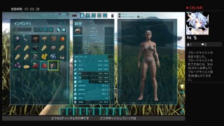 ARK プレイ放送