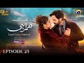 Humrahi Episode 25 ENG SUB Danish Taimoor Hiba Bukhari 14th June 2026 Har Pal Geo Review