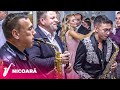 Petrică Brundeanu Si Armin Petrica Nicoara Colaj De Nunta Petrosani NEW