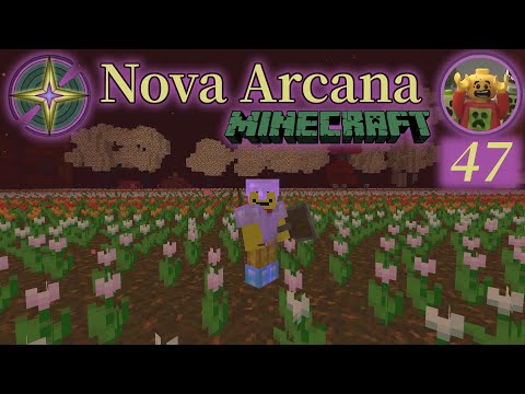 Jim in Nova Arcana Minecraft E47 - Flowery Lands Below