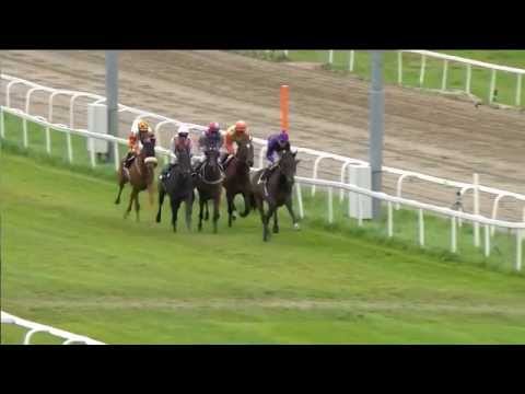 2014.09.24 Norsk St Leger - Matauri