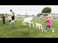 Komend weekend dierendagactiviteiten bij Stad en Natuur