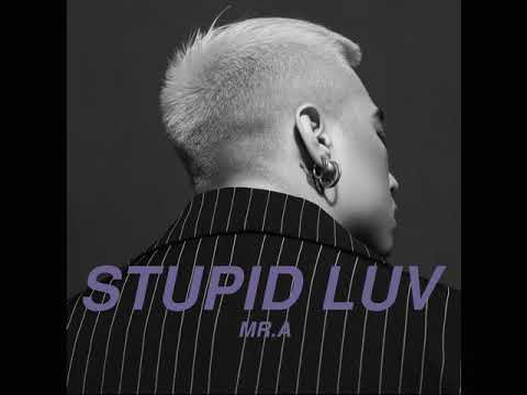 Stupid luv - Mr. A