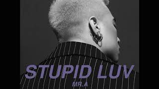 MR.A - STUPID LUV (OFFICIAL AUDIO)