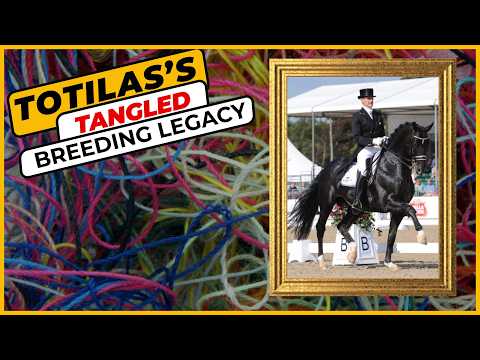 Totilas' Stud Record Decoded | What the Numbers Reveal