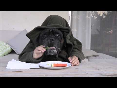 Simon Miron 2007 - 2015