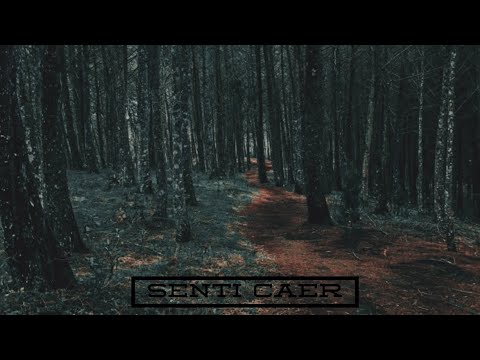 Sentí Caer - Juancho (Visualizer) @JUANCHO373