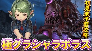 【初見未予習】極グラシャラボラスを固定で攻略する※1時間ぐらい既にやった→周回