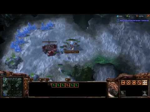 Starcraft II - Evolution Chamber