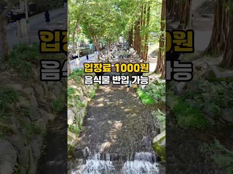 지역 주민은 무료 자녀2이어도 무료 아님 천원 음식반입가능한 계곡