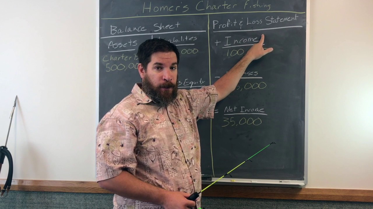 Profit and Loss Statement / Balance Sheet Explained Fast