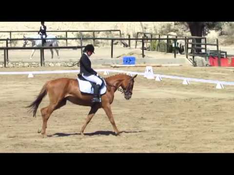 A3 - Nina Niederhausen & Red Bull