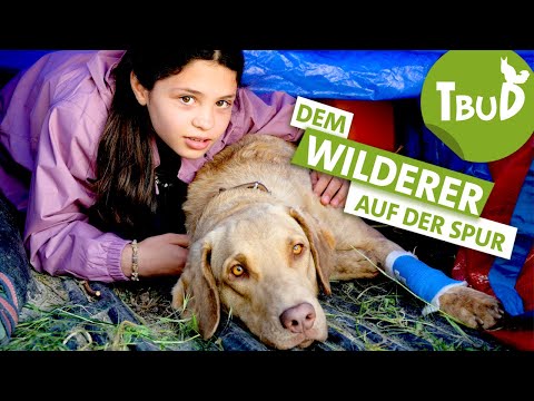 Jagdfieber (Folge 109) | Tiere bis unters Dach