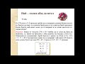 ОУ "Елин Пелин" - Клас 5, Преговор на тема НОД и НОК, Математика