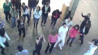 preview picture of video 'University of Manitoba Flash Mob'