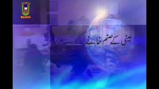 Aini ke Sanamkhane | A Documentary on Qurratulain Hyder | IMC MANU
