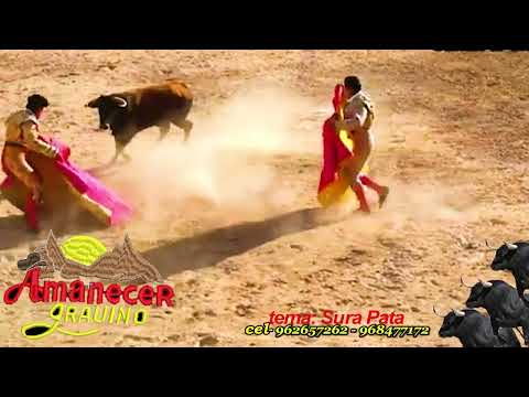 GRAUINO DAWN 2025 - THEME: SURA PATA CEL - 962657262 - 948477172