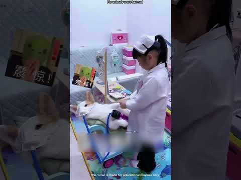 البنت بتحلم أنها تبقي دكتوره