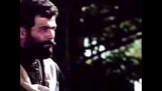 მევლუდი