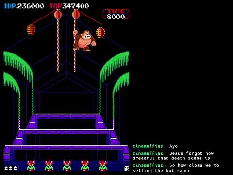 donkey kong 3 marathon 1 496700 pb