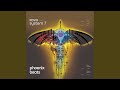 Sino Dub (Phoenix Rising Version)