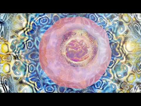 Day 57 TRAUMA Alignment with Matias De Stefano