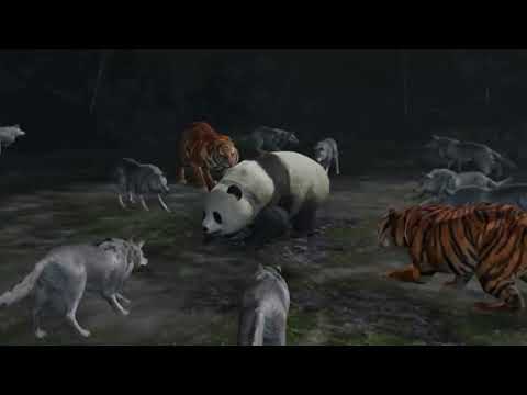 Dynasty Warriors 8 XLCE Wu Part 12: The Wives Attack