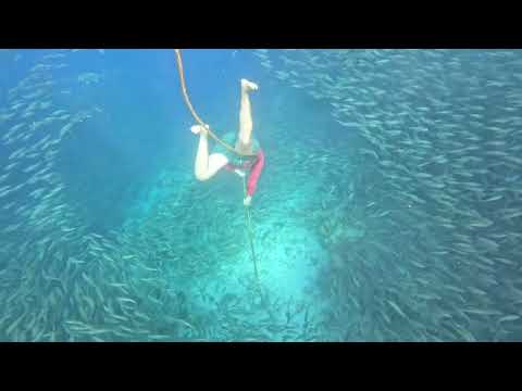 Bonaire Andrea I & Angel City Dive site snorkelling spectacle