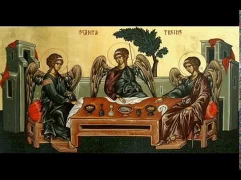 Pr. prof. dr. Stelian Tofana - Icoana Chip Cioplit ! 1/2