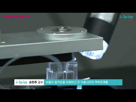 Shon Lab Introduction 유튜브 썸네일 이미지