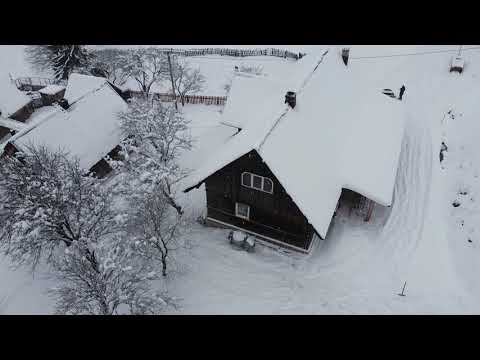 Lupcina Vazuta din Drona