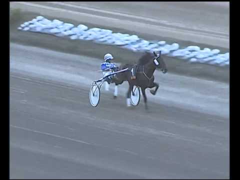 Trotto 09/10/2014 - 2° prova di riqualifica