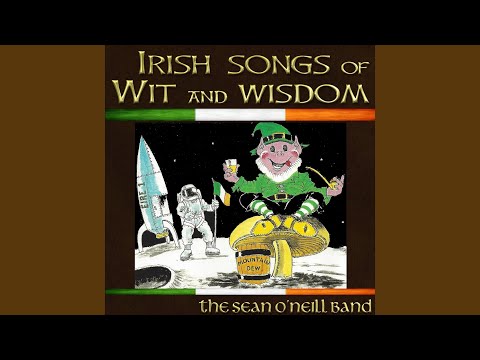 The Ducks of Magheralin