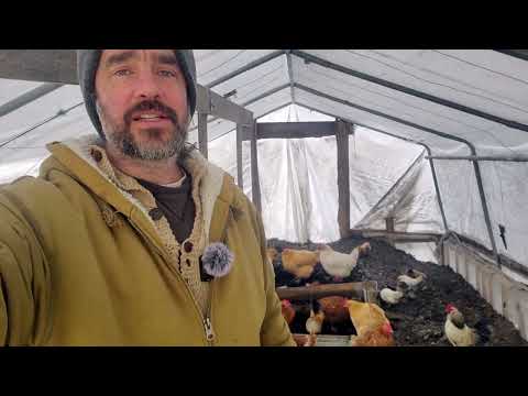 Cold Snap Composting: Hot Piles for Winter Gardens