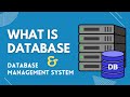 What is Database & Database Management System DBMS | Intro to DBMS