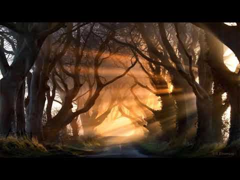 Deep Dreamy Vibes 05 - Altar Ego