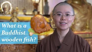 Video thumbnail for Buddhist Instrument | What is the meaning of Buddhist wooden fish? |Master Miao Yin 佛教的法器: 木魚  妙音法師 by Great Compassion Bodhi Prajna Temple  大悲菩提寺
