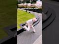Jellyous Easy Version Kpop Jellyous Illit