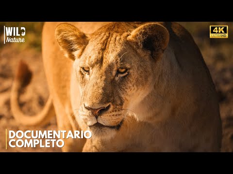 PREDATORI SPIETATI – Il Lato Oscuro della Savana Africana | Documentario Completo