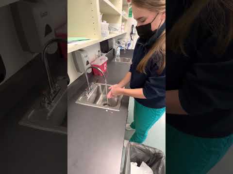 Taylor Fitch HOSA Handwashing