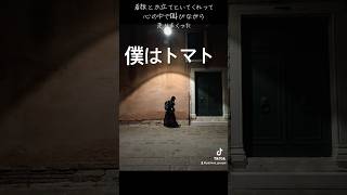 僕はトマトだ　#pathora #名言 #ベネチア #イタリア #散歩