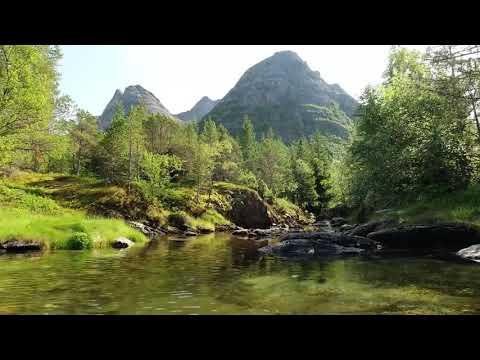 Fundo de oração, Meditação, Deixe Deus acalmar seu coração ❤️.