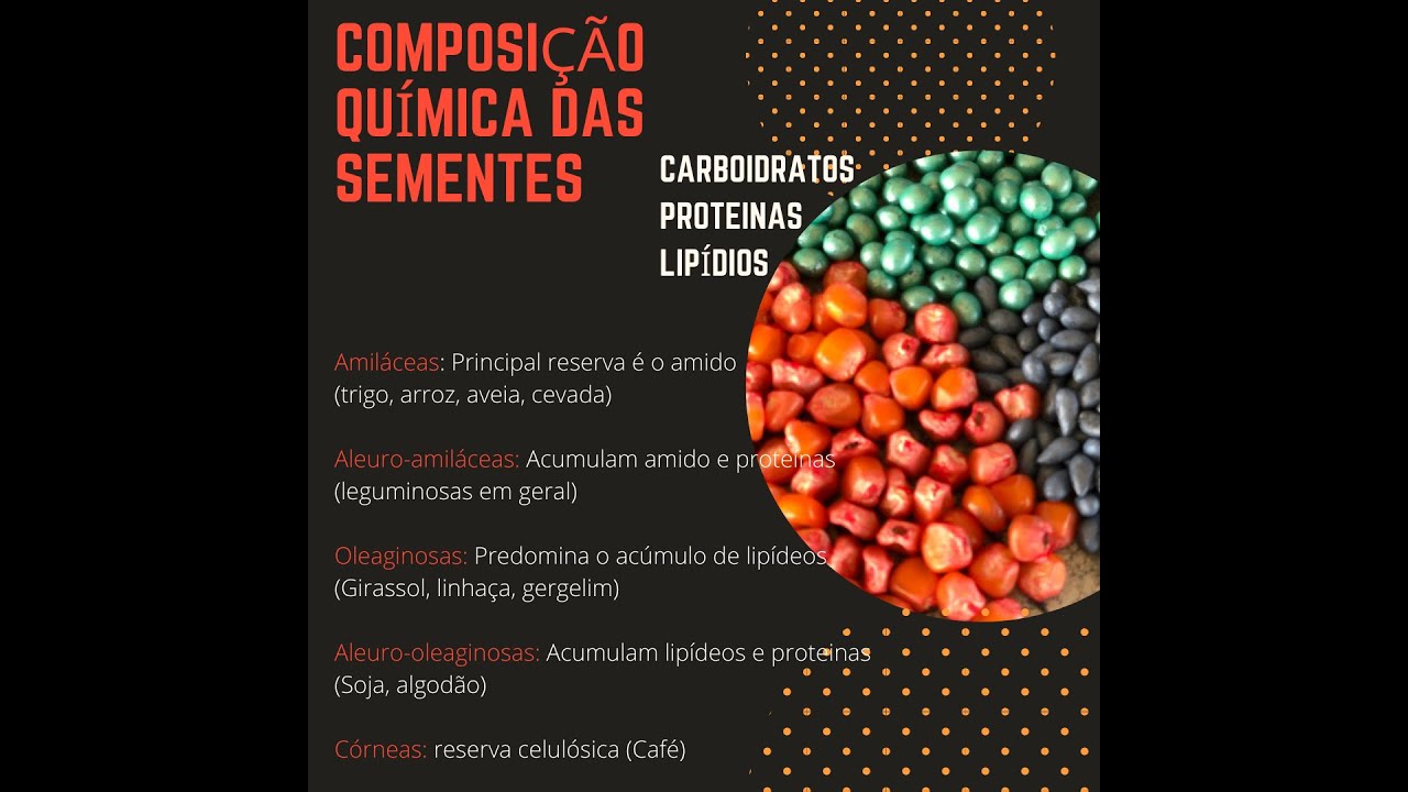 Aula Sementes: Composição Química; Carboidratos, proteínas lipídios na semente (29/10/2020)