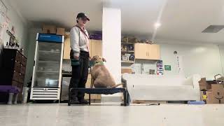 Cody 191225 | Finding His Zen