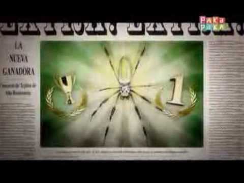 Noticias en miniatura: Araña - Canal Pakapaka