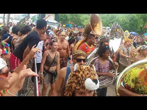 Amigos da Onça - Encerrando o desfile